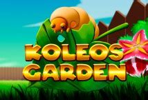 Koleos Garden 4
